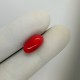 Coral  (Moonga) 7.06 Ct Best Quality